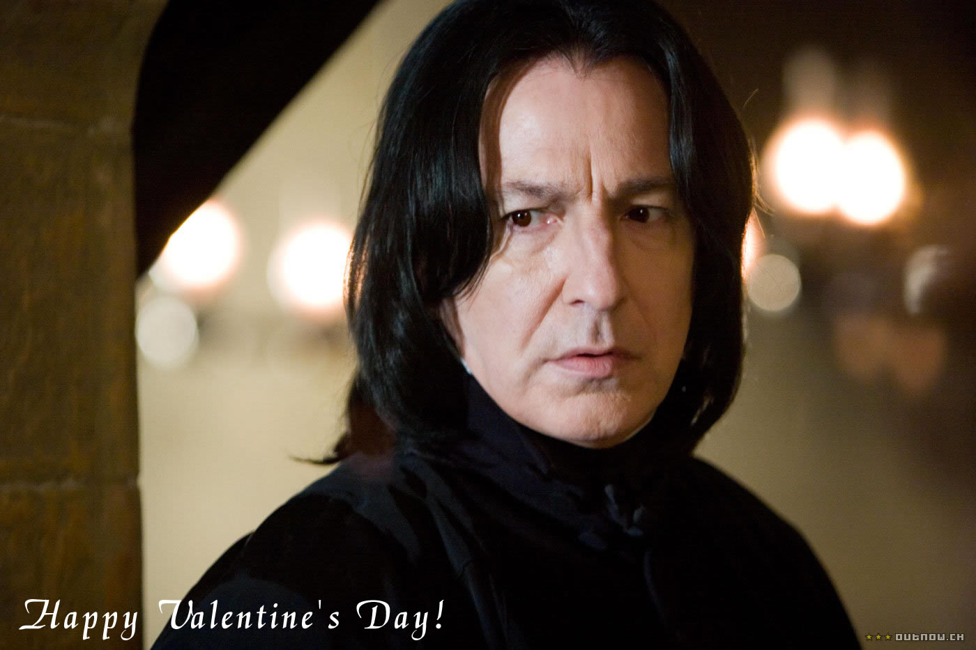 ハリー・ポッター,バレンタインデー/Harry Potter, St.Valentine's Day