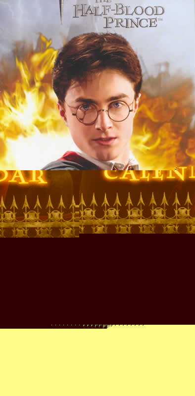 ハリー・ポッターと謎のプリンス　/Harry Potter and the Half-Blood Prince