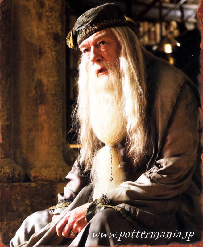ハリー・ポッターと謎のプリンス　/Harry Potter and the Half-Blood Prince